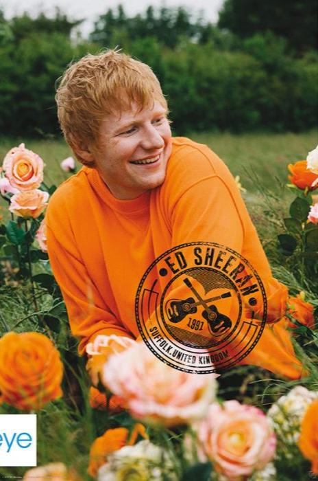 Ed Sheeran (Rose Field)