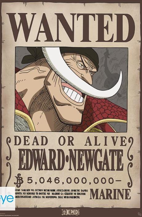 One Piece (Wanted Whitebeard) GBYDCO596 – Panic Posters